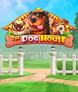 Experience Pragmatic Play's The Dog House adventure, featuring an adorable journey through lovable dogs. Discover gameplay elements such as free spins, aimed at delivering joyful moments. Ideal for those who enjoy a lighthearted setting with a chance for big wins.